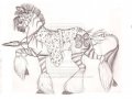 preview__the_zebricans_by_earthsong9405-d5qfpzk.jpg